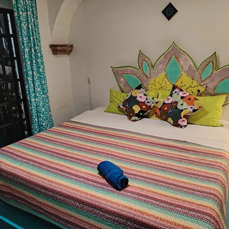 Hostal México Airport CDMX-3