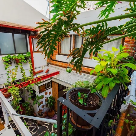 Hostal México Airport CDMX-2